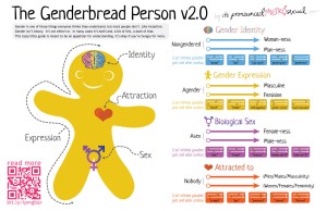 The Genderbread Person is useful to illustrate that gender identity, sexual orientation, etc., are different things, but there is danger in assuming that two different things are automatically entirely uncorrelated.
